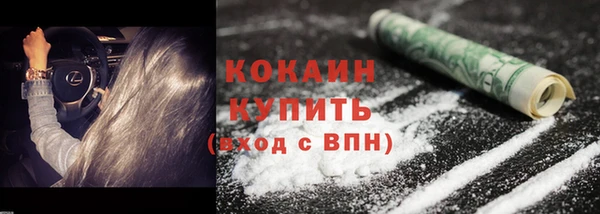 шишки Лабытнанги