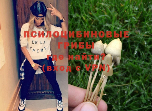 ешки Ладушкин
