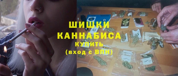 шишки Лабытнанги