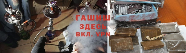 шишки Лабытнанги