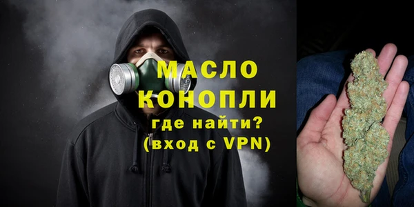 шишки Лабытнанги