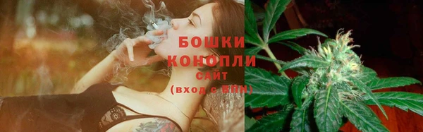 тгк Лагань