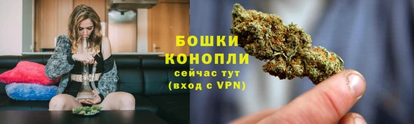 тгк Лагань