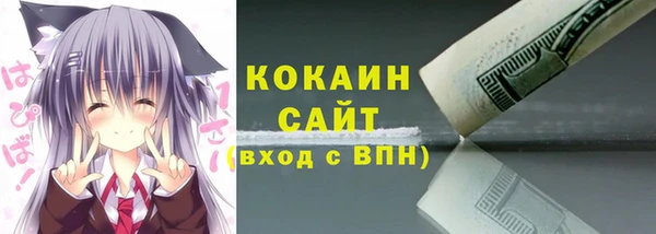 шишки Лабытнанги