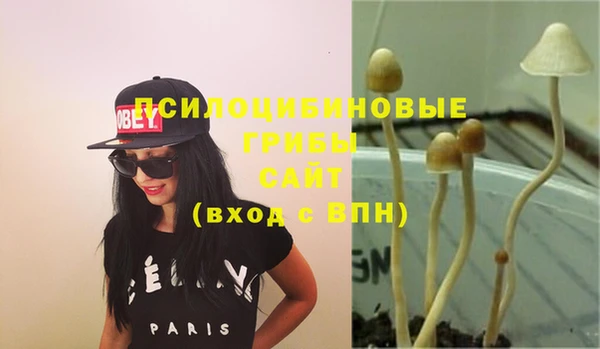шишки Лабытнанги