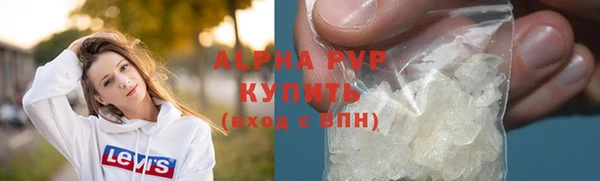 шишки Лабытнанги