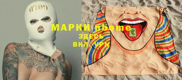 шишки Лабытнанги