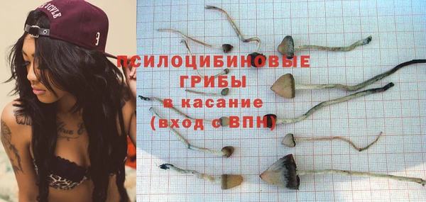 тгк Лагань