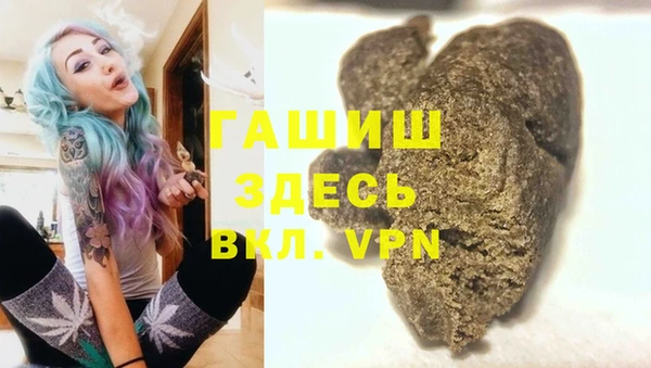 шишки Лабытнанги
