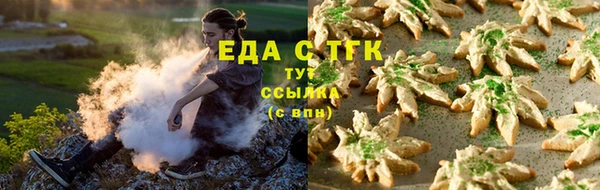 шишки Лабытнанги