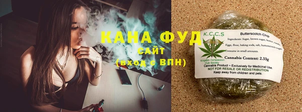 тгк Лагань