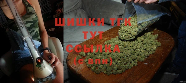 тгк Лагань