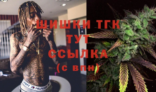 тгк Лагань